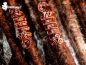 Preview: kupferdraht dreadperlen, dreadperle, dread pearls from copper, wire dread beads, draht dreadperlen, draht schnmuck, dread draht schmuck,dreadkult, dreadlocks